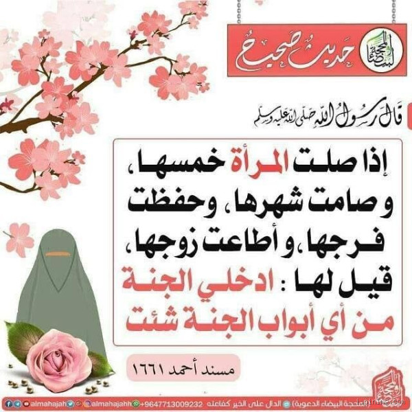 هل تسلم المرأة على الرسول؟ إليك الحقيقة كاملة