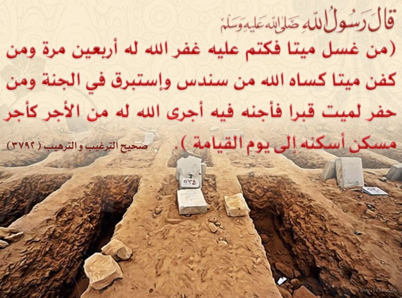 هل زيارة الميت في القبر حرام؟ الجواب الكامل وبدون تعقيد