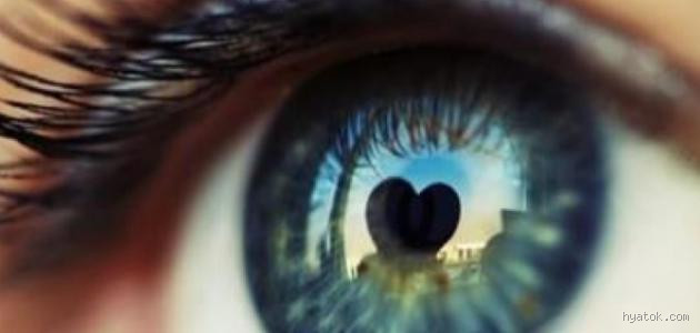 كيف أعرف الحب من نظرة العين؟ اكتشف إشارات العين الخفية