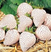 كيف أعرف أن برج العقرب يشتاق لي؟ أسرار الحب والاشتياق عند العقرب