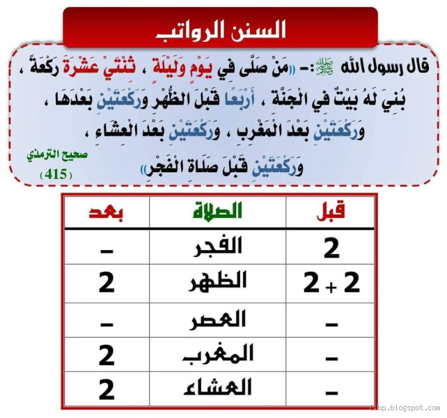 ما هي السور التي تُقرأ في السنن الرواتب؟ اكتشف الأفضل لصلاتك