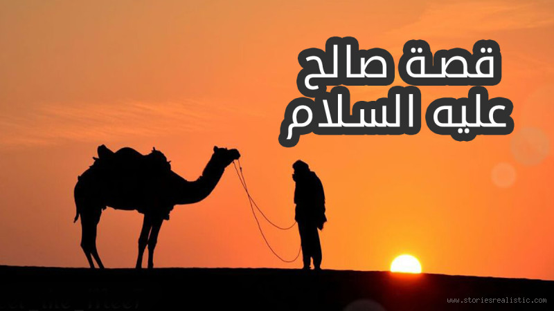 من هو النبي الذي عاتبه الله؟ قصة مليئة بالحكمة