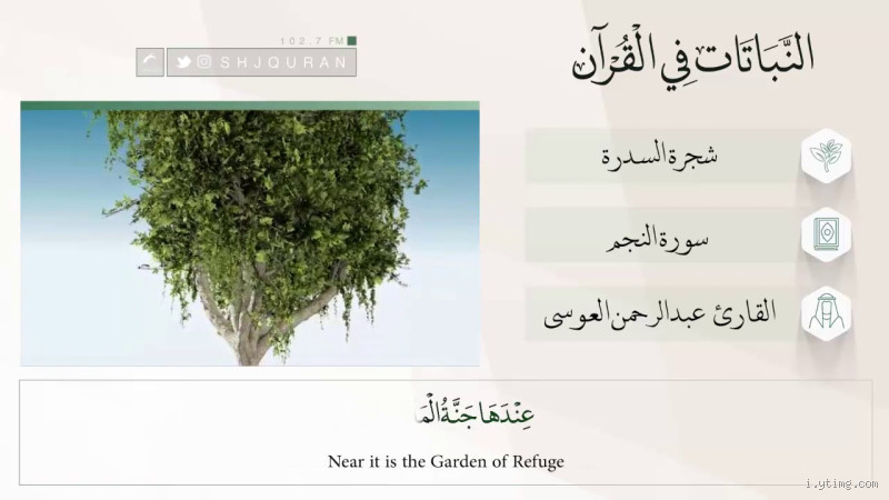 هل ذكر في القرآن شجرة التفاح؟