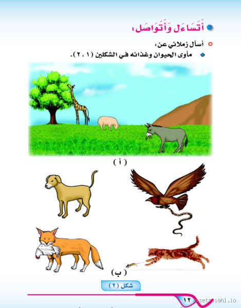 ماذا يجب علينا تجاه الحيوانات؟