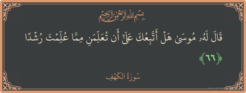 هل في الجن أحد من أصحاب النبي صلى الله عليه وسلم؟