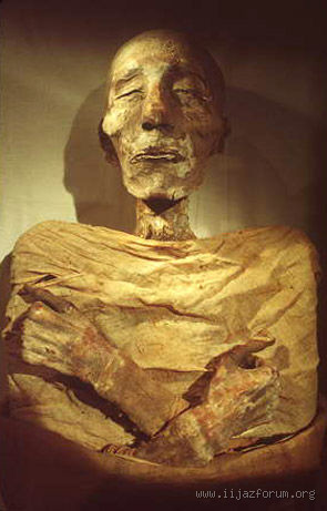 هل جثة فرعون في فرنسا؟ الحقيقة وراء الأسطورة!