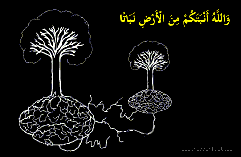 هل خلقنا الله من طينة واحدة؟ الحقيقة وراء هذا السؤال