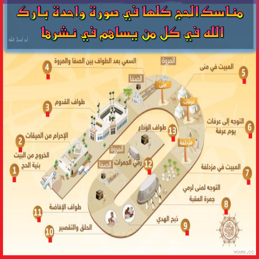 هل على الحاج المفرد ذبح؟ كل ما يجب معرفته عن هذا الموضوع