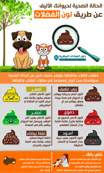 هل الأحلام الغريبة من الشيطان؟ حقائق مثيرة تكشفها لك