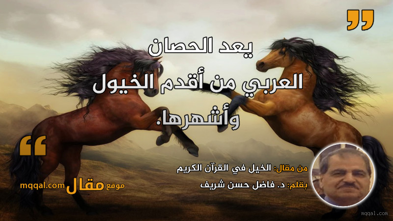 هل الخيل خير؟ اكتشف معاني ودلالات الخيل في الإسلام