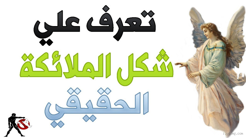 هل الملائكة لها أعمار؟ اكتشف الحقيقة وراء هذا السؤال