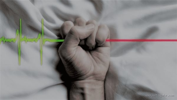 هل الموت في المنام يعني طول العمر؟ الحقيقة التي لم تعرفها