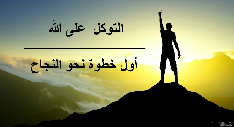 هل النجاح ضروري؟ تساؤلات حول الحاجة للنجاح في حياتنا