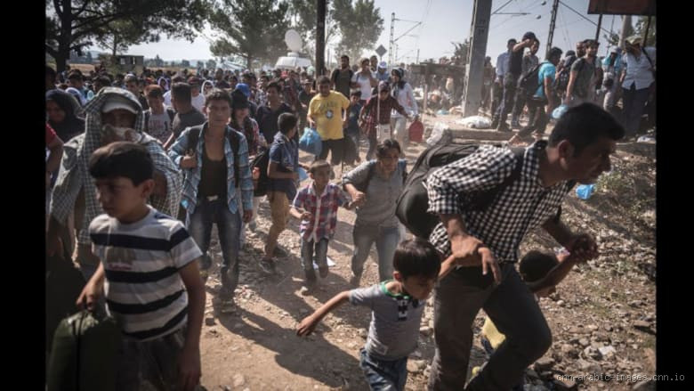 هل تعيش الأسود في سوريا؟ الحقيقة وراء هذا السؤال