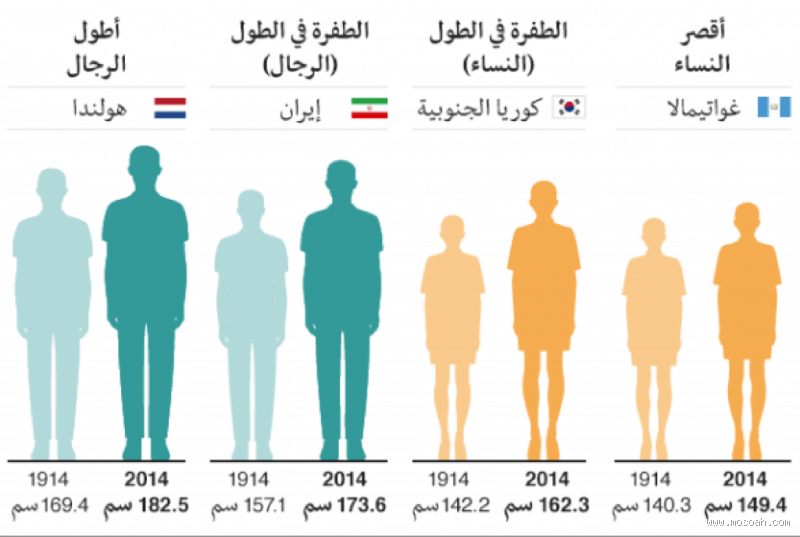 هل طول 152 يعتبر قصير؟ الحقيقة وراء مفهوم الطول المثالي