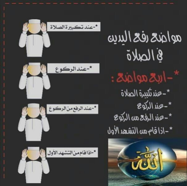 هل يجب رفع اليدين عند تكبيرة الركوع؟