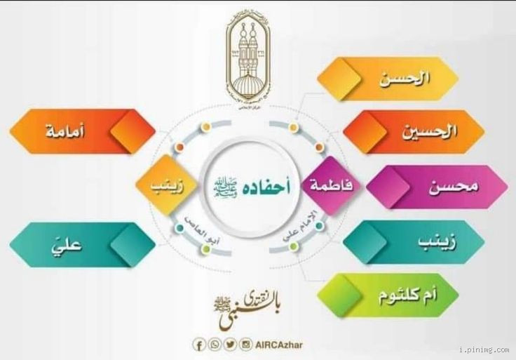 كم عدد أحفاد الرسول محمد صلى الله عليه وسلم؟ فهم دور الحسن والحسين في التاريخ الإسلامي