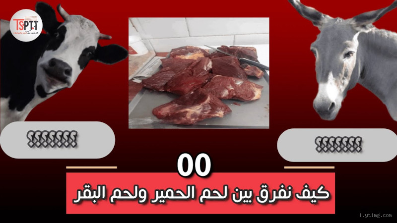 كيف تفرق بين لحم البقر ولحم الحمير؟ اكتشف الفرق الشائك