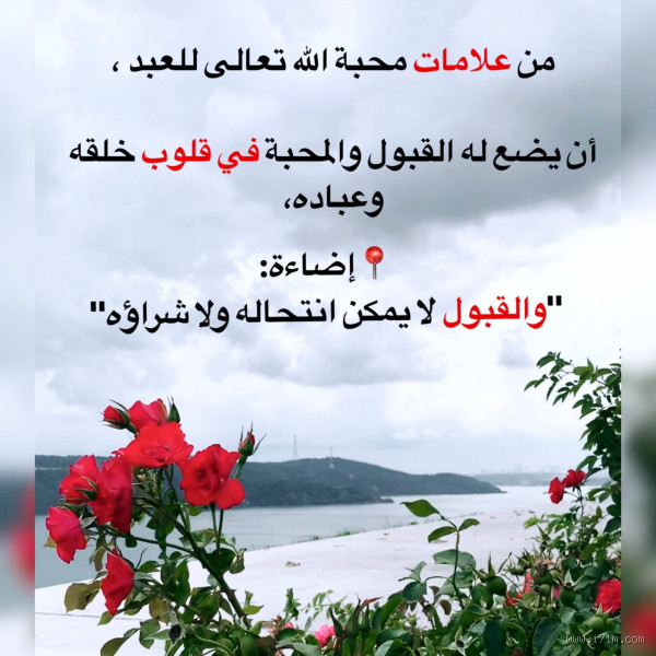 كيف تجعل رسول الله يحبك؟ خطوات مهمة لتنال محبته