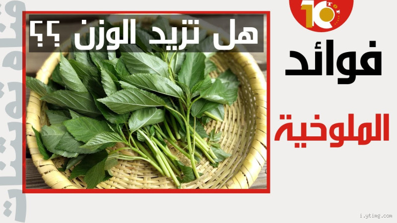 لماذا لا يأكل العلويين الملوخية؟ اكتشف السبب الغريب!