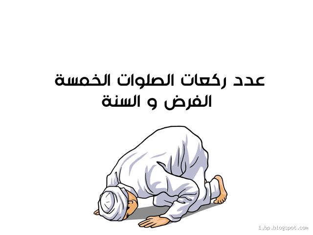 لماذا لم تذكر عدد ركعات الصلاة في القرآن؟