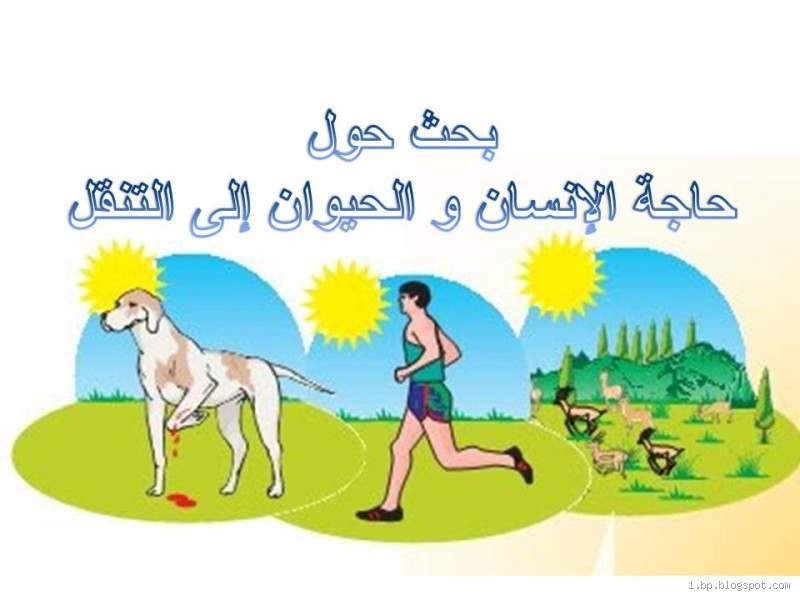 لماذا يحتاج الانسان الحيوان؟ العلاقة التي لا غنى عنها