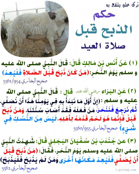 ما حكم من ترك ذبح الأضحية؟