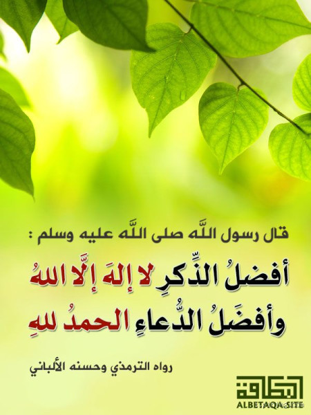 ما هو أفضل الذكر عند الله؟ اكتشف أسمى الكلمات وأعظم الأعمال