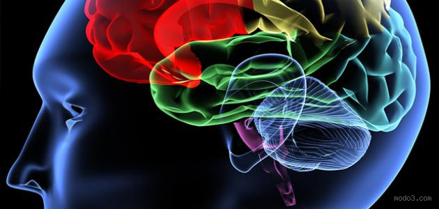 ما هو النضج في الإسلام؟ فهم مفهوم النضج في الحياة الدينية