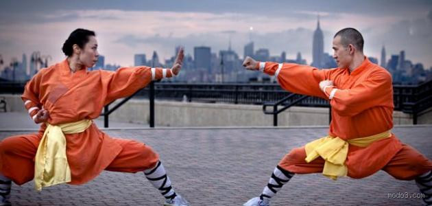 ما هو الأقوى: الكونغ فو أم الكاراتيه؟
