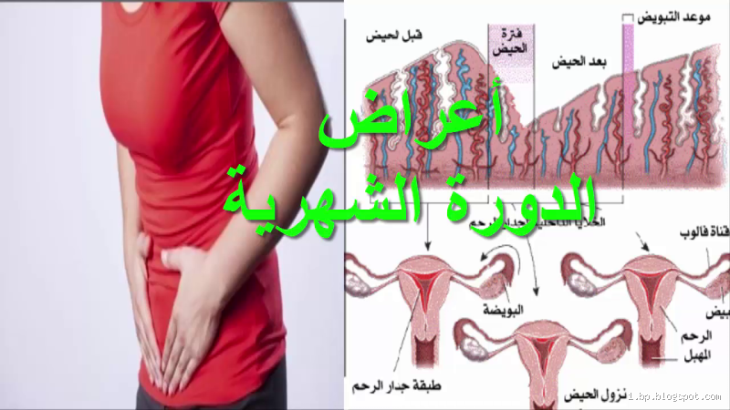 ما هو السن الذي يحاسب عليه الإنسان؟ تعرف على الإجابة الحاسمة