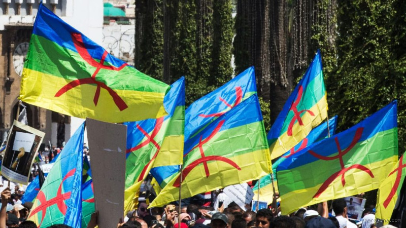 ما هو أصل القبائل في الجزائر؟ اكتشف جذور الهوية العميقة