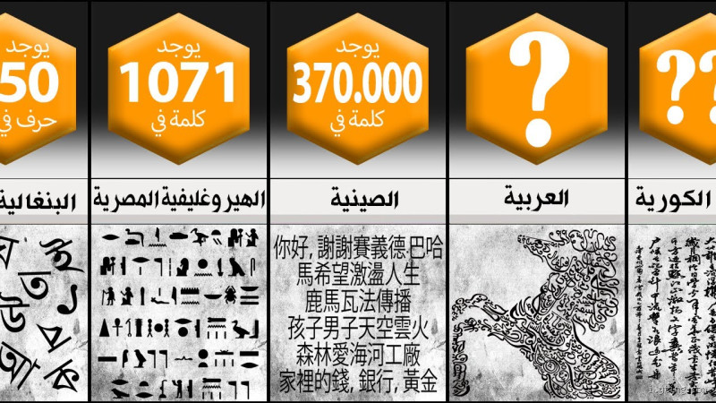 أي لغة هي الأكثر غنى من حيث عدد الكلمات؟