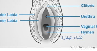 ما هو الخبير في حالة العذرية؟