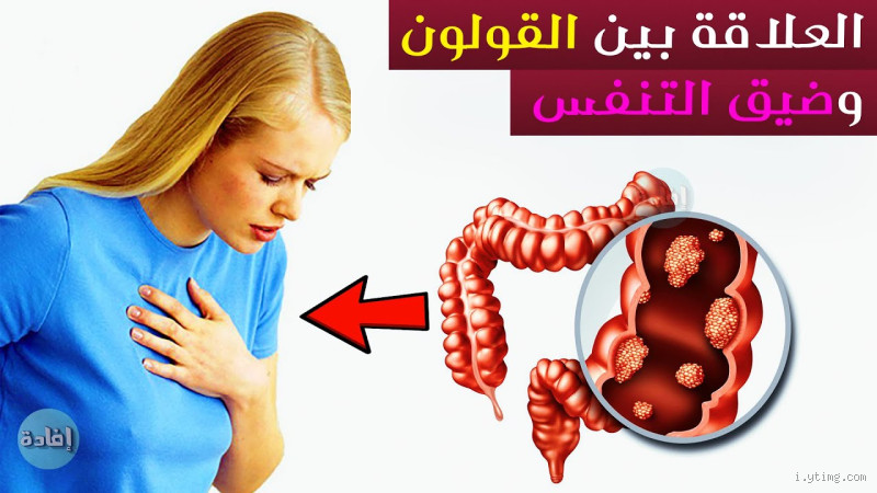 ما هي المنطقة المسؤولة عن المشاعر في الدماغ؟