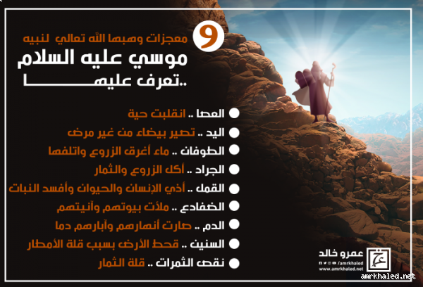 ما هي معجزات سيدنا موسى بالترتيب؟ اكتشفها الآن!