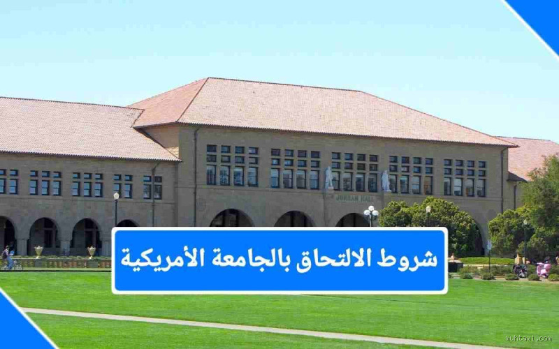 ما هي شروط الالتحاق بالجامعة الأمريكية؟ كل ما تحتاج معرفته