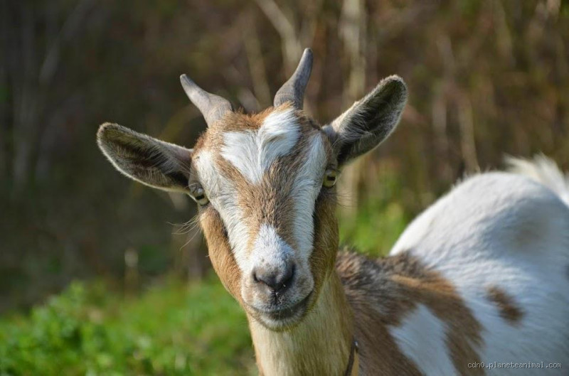 ما الفرق بين الإيمان والإحسان؟ فهم عميق للمفاهيم