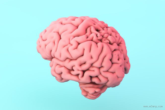 ما معنى رؤية المخ في المنام؟ اكتشف أسرار الحلم!