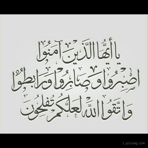 ما معنى "واتقوا الله لعلكم تفلحون"؟ تفسير عميق وتأملات