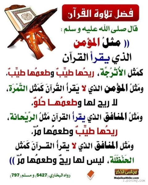 ماذا قال الله عن القراءة؟