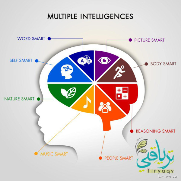 ماذا تسمى أعلى درجات الذكاء؟ اكتشف المفهوم الحقيقي!