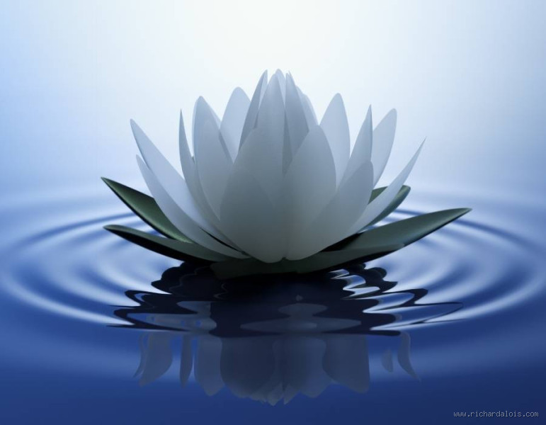 ماذا يحدث للبنت بعد الطلاق؟