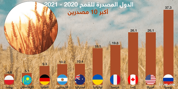 من هي الدول التي تستورد القمح من روسيا؟ الحقيقة وراء التجارة العالمية