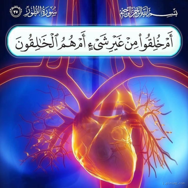 من الذي خلق من غير أم؟