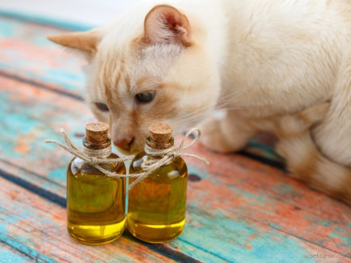 أي سفر قيل فيه عن الجبال إنها تنقلب؟