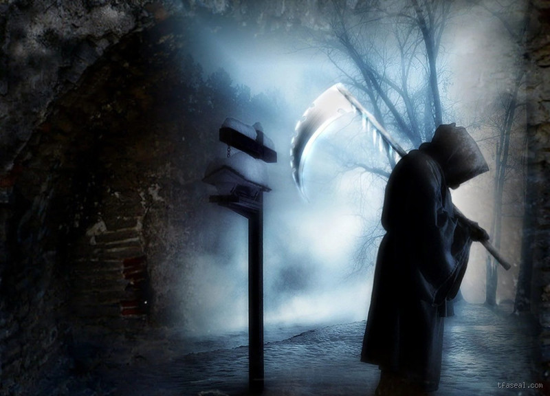 أين يذهب قرين الإنسان بعد موته؟