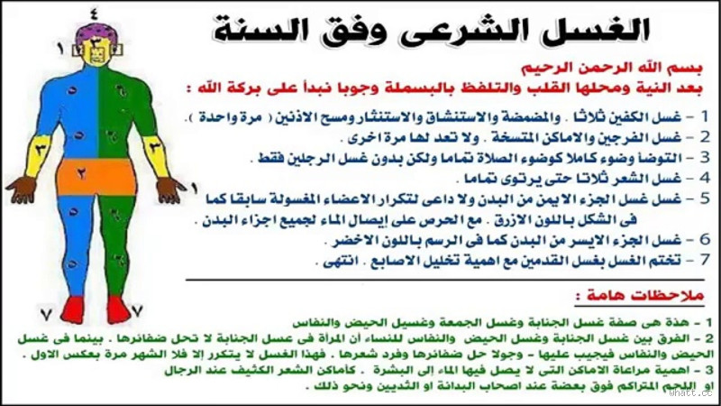 هل غسل الفرج والوضوء يرفع الجنابة؟ كل ما تحتاج معرفته