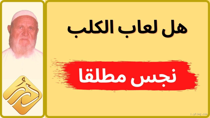 هل لعاب الدب نجس؟ فهم المسألة الدينية والتفسيرات الفقهية