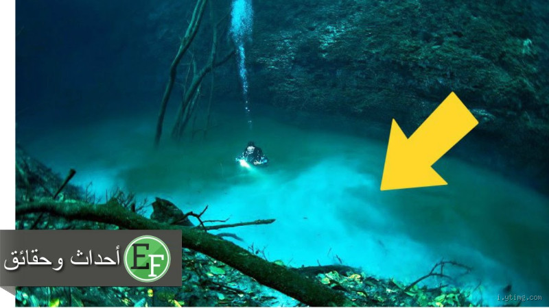 هل العظم يغرق بالماء؟ الحقيقة وراء هذه الظاهرة الغريبة